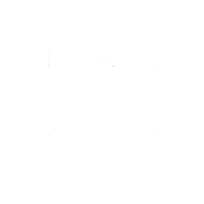 Perplexity